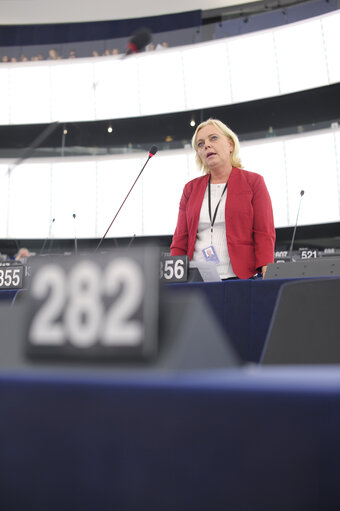 Photo 30 : plenary session week 51 2014 in Strasbourg - Freedom of expression in Turkey