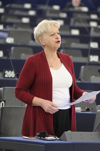 Снимка 8: plenary session week 51 2014 in Strasbourg - Freedom of expression in Turkey