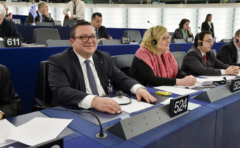 Photo 2 : Plenary session week 51 2014 in Strasbourg -