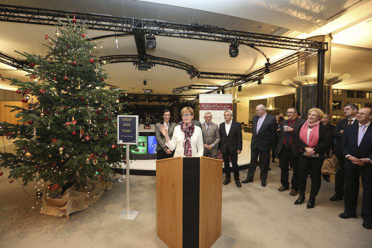 Austria offers a Christmas tree to the European Parliament