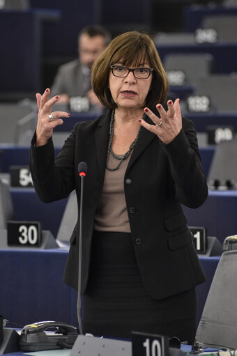 Valokuva 8: Plenary session week 48 2014 in Strasbourg