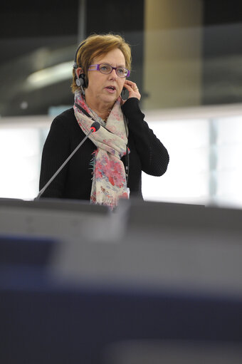 Fotó 19: Plenary session week 48 2014 in Strasbourg - explanations of votes - Digital single market