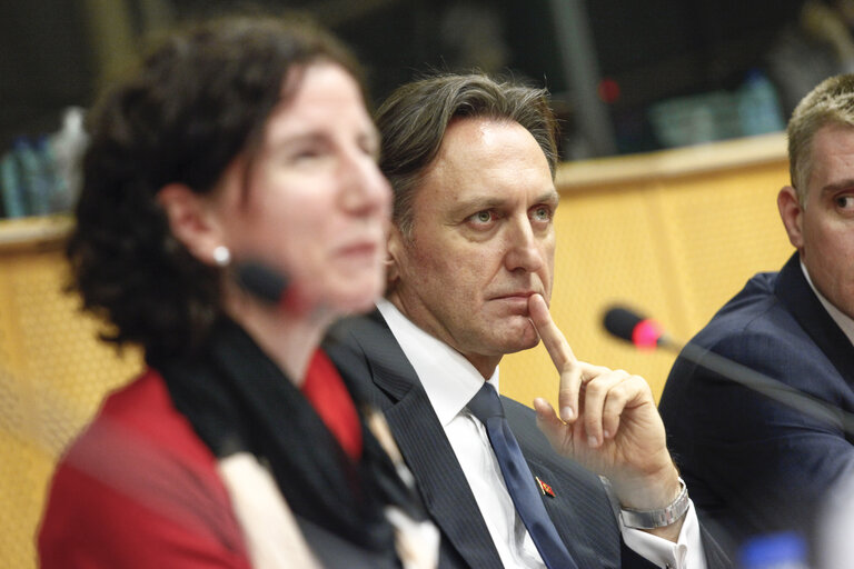 Fotografie 14: 9th EU-Montenegro Stabilisation and Association Parliamentary Committee meeting