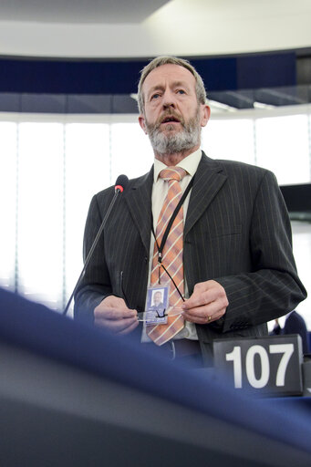 Снимка 36: Plenary session in Strasbourg - Week 48 2014