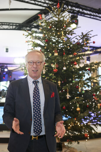 Fotagrafa 11: MEP Gunnar HOKMARK next to the EP Christmas Tree