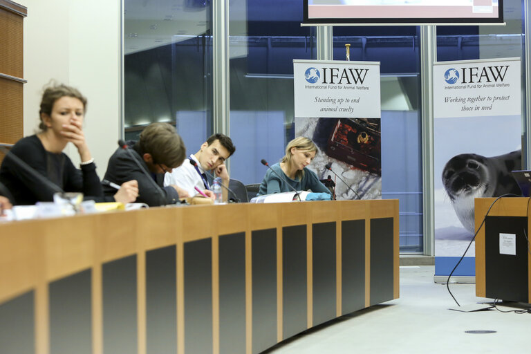 Photo 6: Meeting :  Public Morality and the Seal Regulation