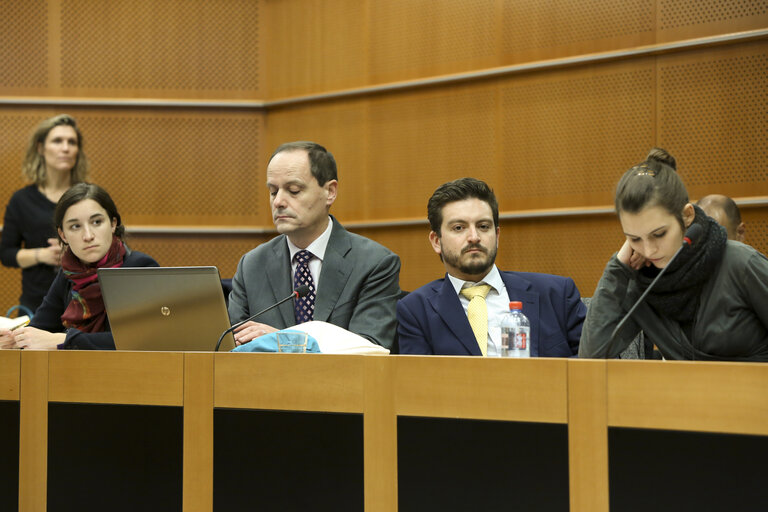 Photo 13: Meeting :  Public Morality and the Seal Regulation