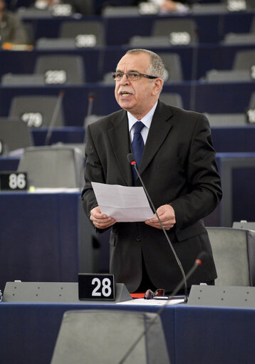 Fotografi 35: Plenary session week 48 2014 in Strasbourg - Recognition of Palestine statehood