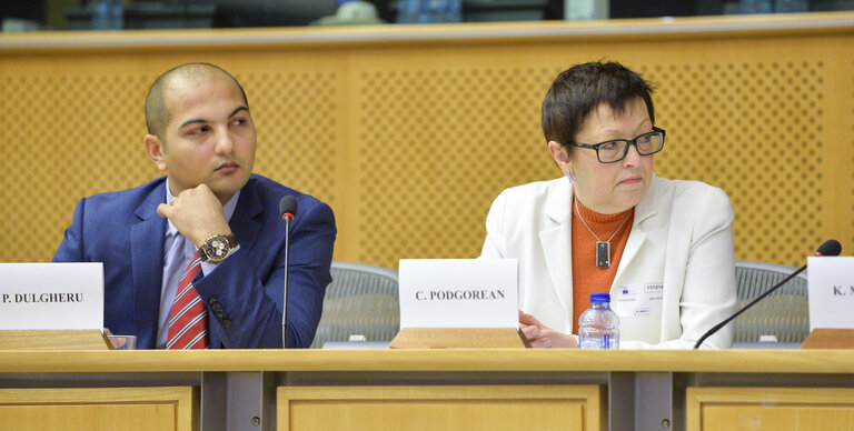 Photo 32 : Meeting:  From Beggar to MEP a Roma Integration Story