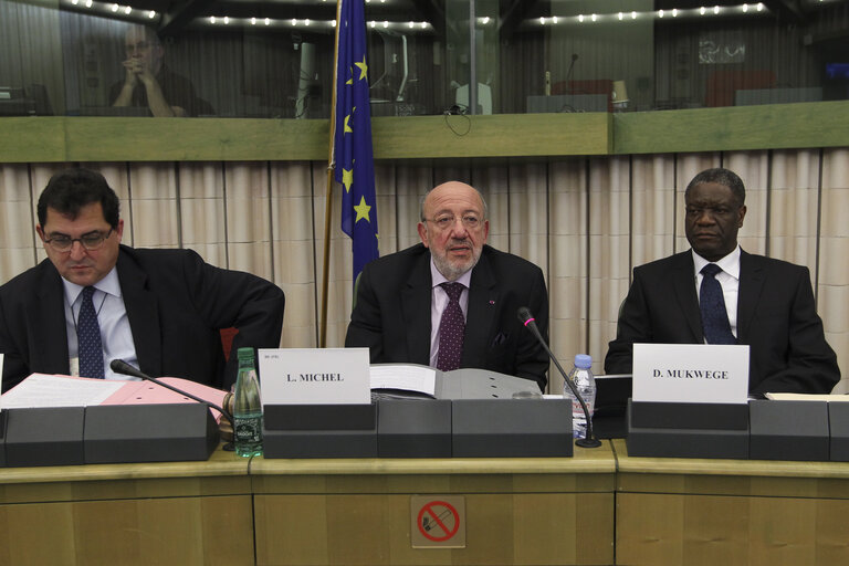 Fotagrafa 12: Meeting of the Delegation to the ACP-EU Joint Parliamentary Assembly with the laureate of the Sakharov Prize 2014