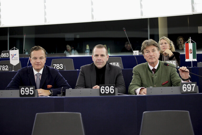 Fotografie 2: Georg MAYER and MEPs in Plenary Chamber in Strasbourg