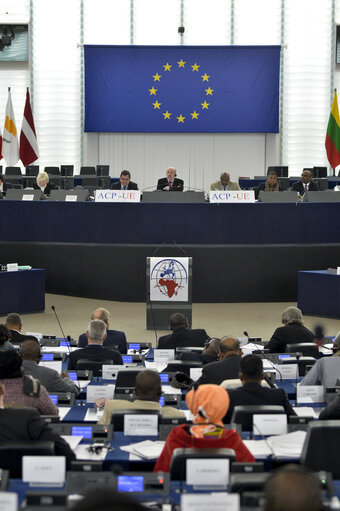 Photo 39 : 28th ACP-EU Joint Parliamentary assembly in Strasbourg  Sitting ' The social and economic consequences of malnutrition in ACP countries '  Statement of Commissioner in charge of international cooperation and development