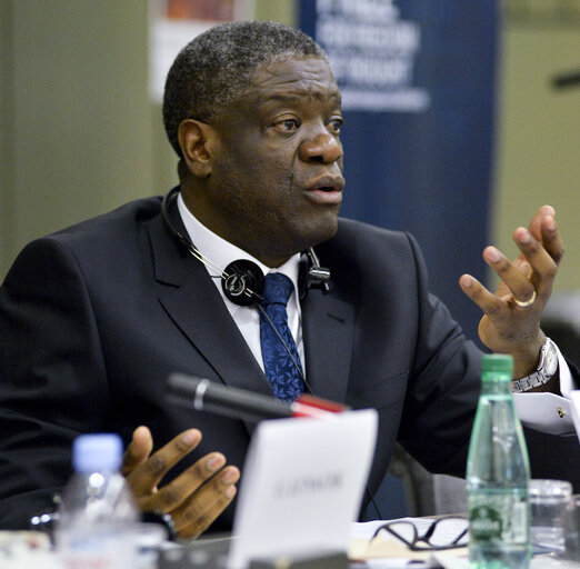 Foto 10: Seminar for journalists.  Sakharov prize for freedom of thought.