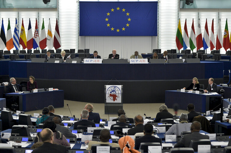 Photo 38 : 28th ACP-EU Joint Parliamentary assembly in Strasbourg  Sitting ' The social and economic consequences of malnutrition in ACP countries '  Statement of Commissioner in charge of international cooperation and development