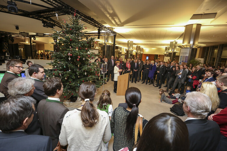Austria offers a Christmas tree to the European Parliament