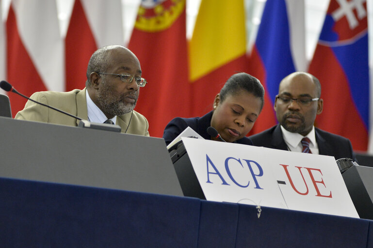 Photo 4 : 28th ACP-EU Joint Parliamentary assembly in Strasbourg  Sitting ' The social and economic consequences of malnutrition in ACP countries '  Statement of Commissioner in charge of international cooperation and development