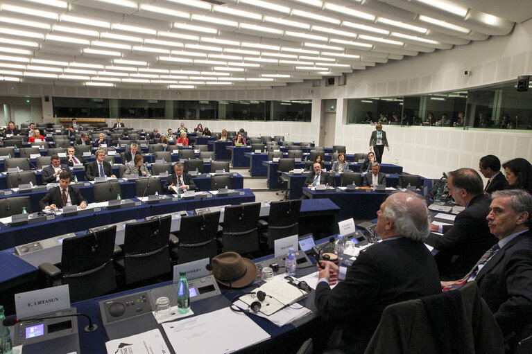 Foto 7: Euro-Latin American Parliamentary Assembly