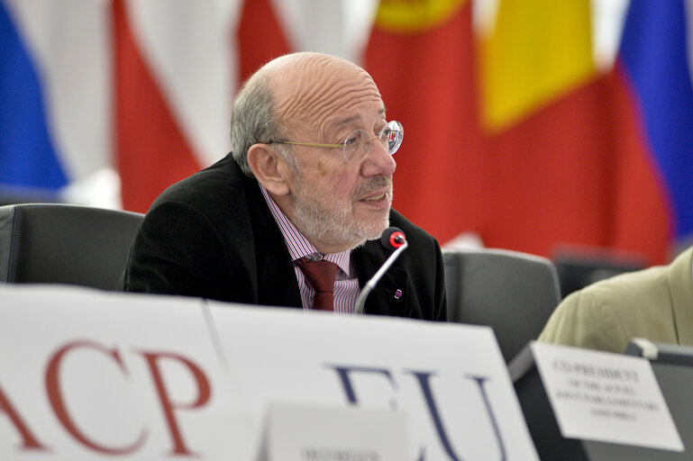 Fotografi 12: 28th ACP-EU Joint Parliamentary assembly in Strasbourg  Keynote debate ' Yes! Africa can live up to its ambitions '