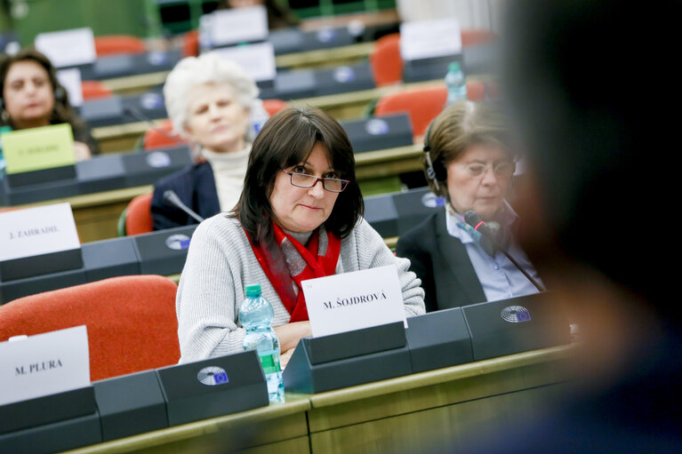 Fotografija 14: EU-Turkey delegation meeting