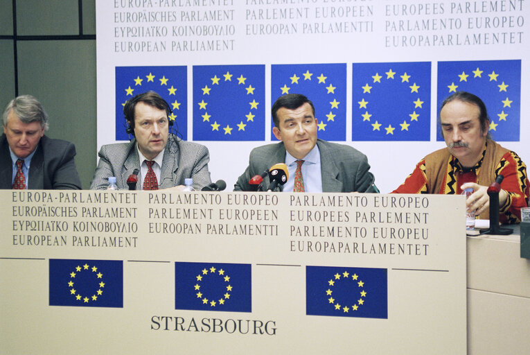 Φωτογραφία 15: Press conference in Strasbourg