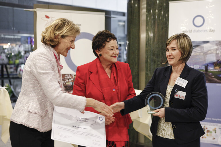 Fotografia 9: Award ceremony of the 2013 IDF Europe Prizes in Diabetes