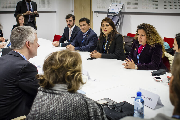 Fotografie 32: POLAND, Warsaw: Corinne LEPAGE (ALDE) (2nd L) and Matthias GROOTE (S&D) (L) is seen during  meeting of European Parliament delegation with Mexico and Peru delegations, November 19, 2013.