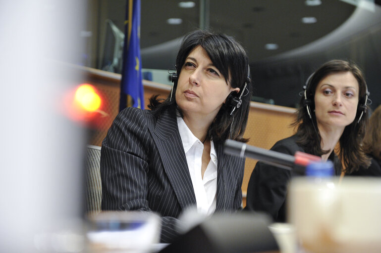 Fotografie 3: Hearing EPP - Prevention of age related diseases of women