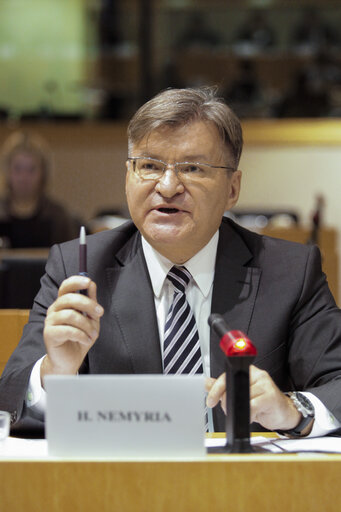 Foto 21: EU-Ukraine parliamentary cooperation committee