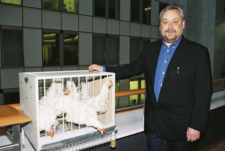 Foto 2: Action of MEP John IVERSEN to raise awareness on chicken transport