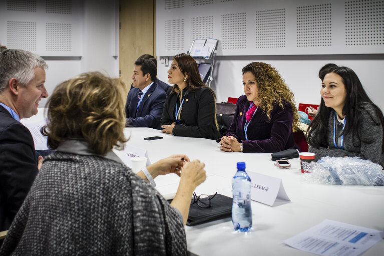 Fotografie 34: POLAND, Warsaw: Corinne LEPAGE (ALDE) (2nd L) and Matthias GROOTE (S&D) (L) is seen during  meeting of European Parliament delegation with Mexico and Peru delegations, November 19, 2013.