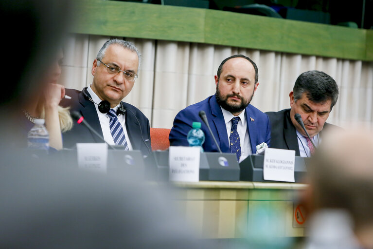 Fotografija 5: EU-Turkey delegation meeting