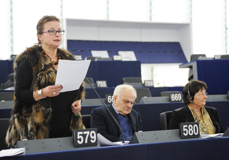 Fotografia 7: Plenary Session Week 50 - 2012 in Strasbourg - Human Rights