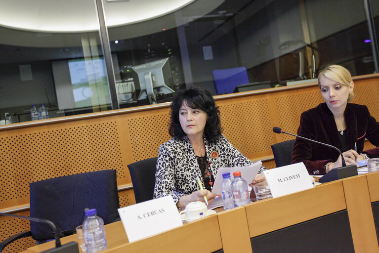 Fotografie 7: Professional mobility in the EU and its consequences on children