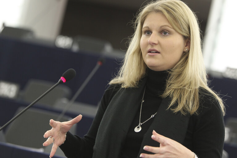 Fotografie 27: Plenary Session Week 50 2012 - EU Growth