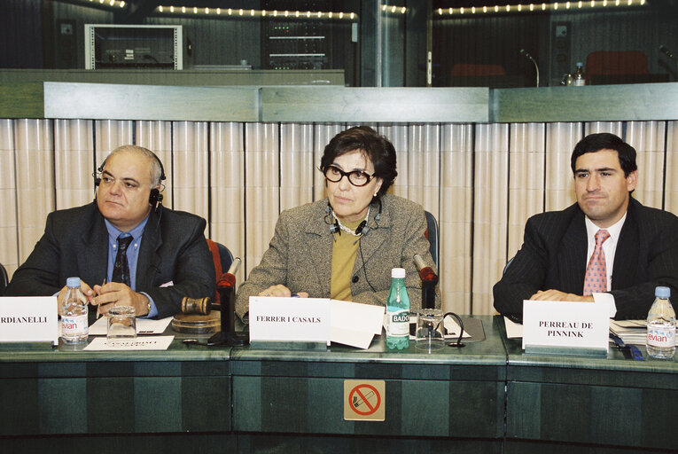 Zdjęcie 22: M GUARDINELLI, Concepcio FERRER and Carlos PERREAU DE PINNINCK DOMENECH during a meeting in Strasbourg in October 1999.