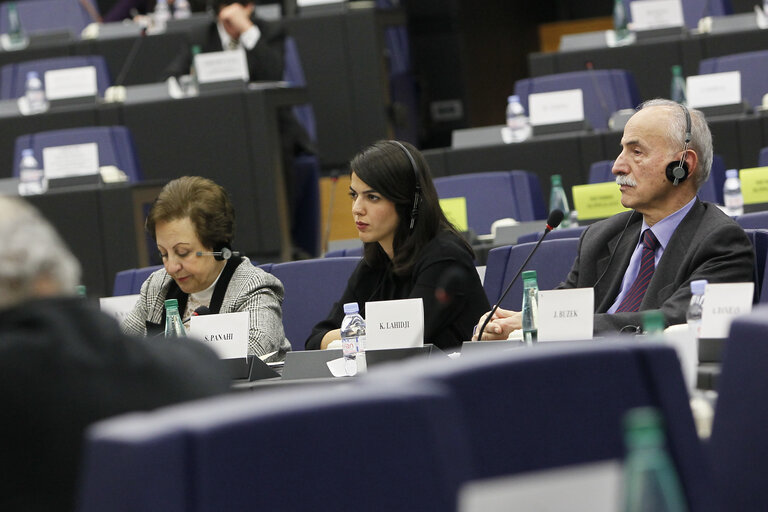 Fotografia 10: Joint meeting of the committee on foreign affairs, the committee on development and subcommittee on human rights, in association with the delegation for relations with Iran.  Exchange of views with the representatives of 2012 Sakharov prize laureates