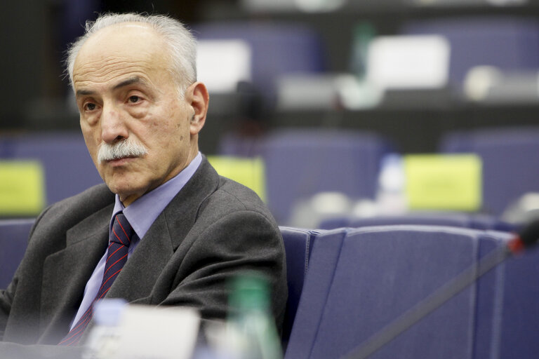 Fotografia 18: Joint meeting of the committee on foreign affairs, the committee on development and subcommittee on human rights, in association with the delegation for relations with Iran.  Exchange of views with the representatives of 2012 Sakharov prize laureates