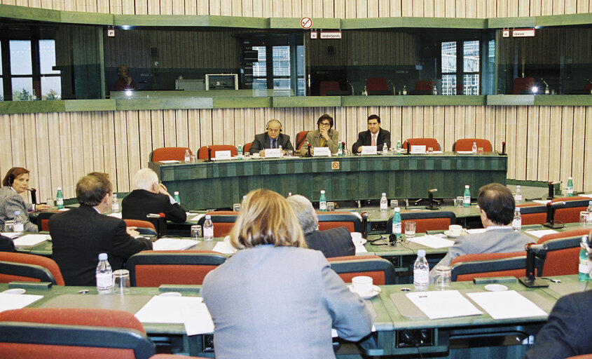 Zdjęcie 25: The MEP Concepcio FERRER and Carlos PERREAU DE PINNINCK DOMENECH during a meeting in Strasbourg in October 1999.