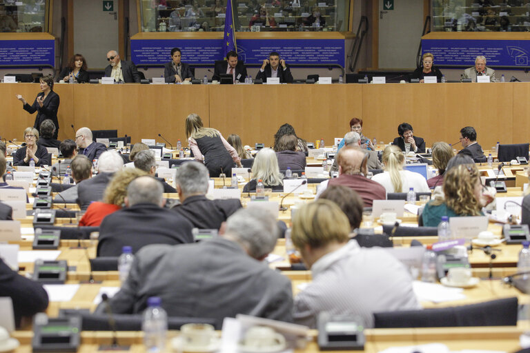 Foto 5: 3rd European parliament of persons with disabilities.  Implementing the UN convention on the rights of persons with disabilities in a period of crisis.