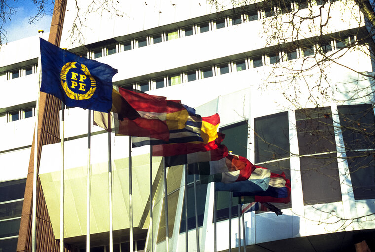 Photo 23: Flags of some country members of the European Union floating in the wind with the old European Parliament flag