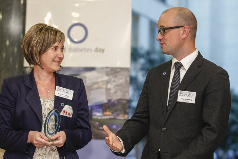 Fotografia 5: Award ceremony of the 2013 IDF Europe Prizes in Diabetes