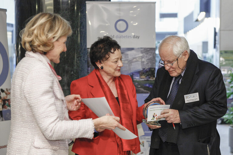 Fotografia 12: Award ceremony of the 2013 IDF Europe Prizes in Diabetes