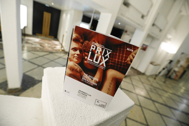 Zdjęcie 14: Screenings of the films competing for the Lux Prize 2013, at the BOZAR cinema in Brussels.