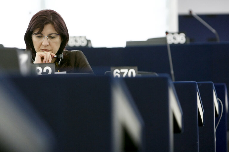 Billede 6: Plenary Session in Strasbourg - Week 21 - 2012