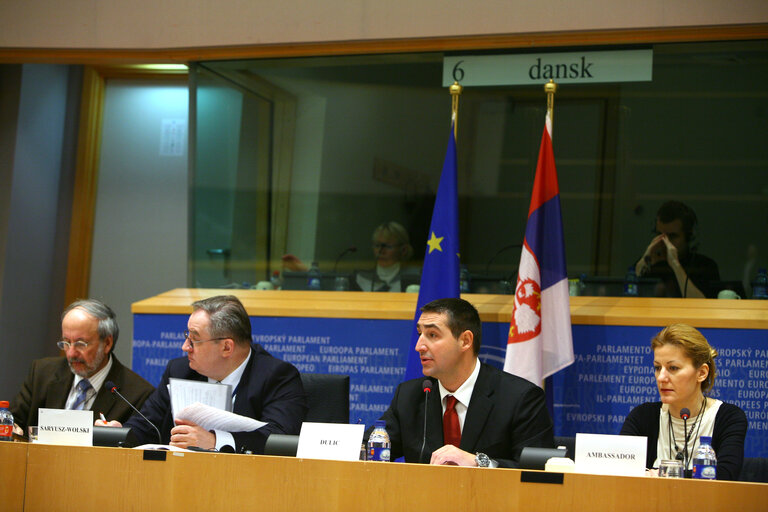 AFET Committee meeting with the Speaker of the National Assembly of Serbia.