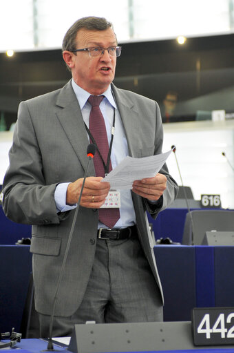 Plenary Session in Strasbourg - Week 21 - 2012