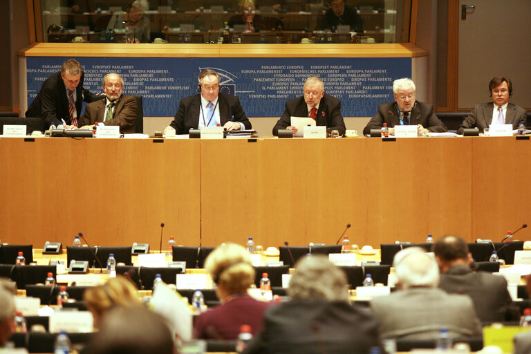 Fotografie 2: AFET Committee meeting on the results of the Informal Meeting of EU Ministers of Foreign Affairs.