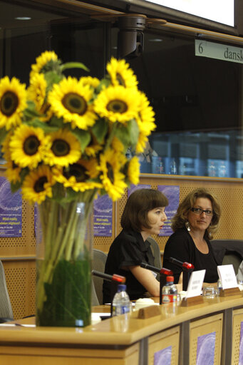 Fotografija 1: Marie Anne ISLER BEGUIN in a meeting at the EP in Brussels