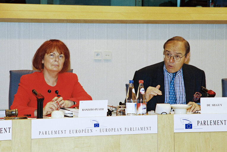 Photo 10 : Meeting of the subcommittee on Monetary Affairs in Brussels