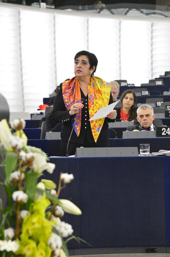 Plenary Session Week 50 - 2012 in Strasbourg - Human Rights